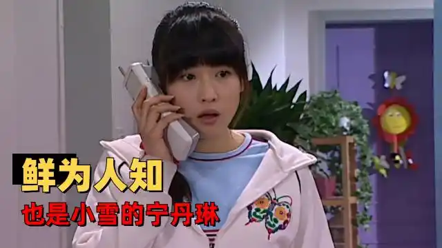 家有儿女:为什么大家都只记得杨紫,却忘记了宁丹琳