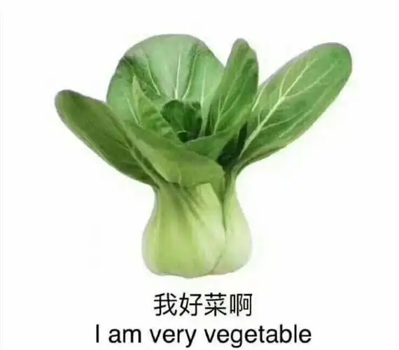 我好菜啊(青菜)_青菜表情