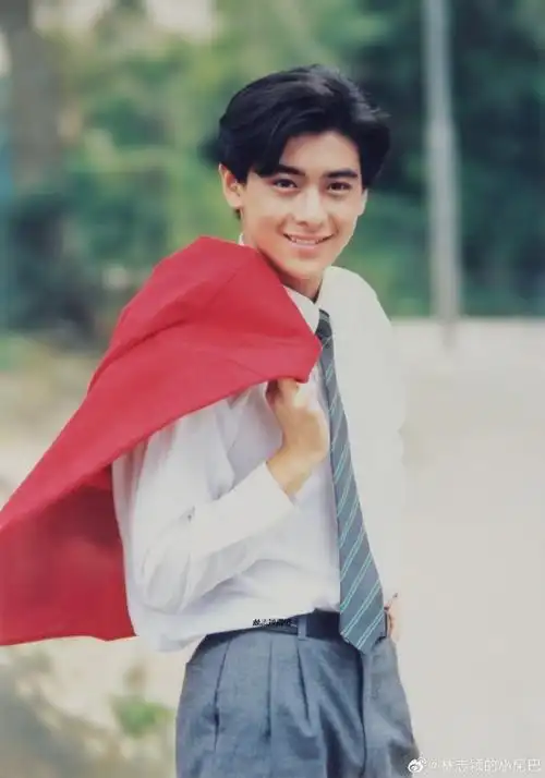 全世界最好的林志颖