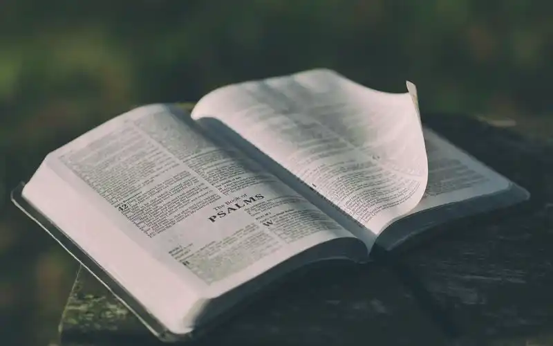 清新唯美的书本静物