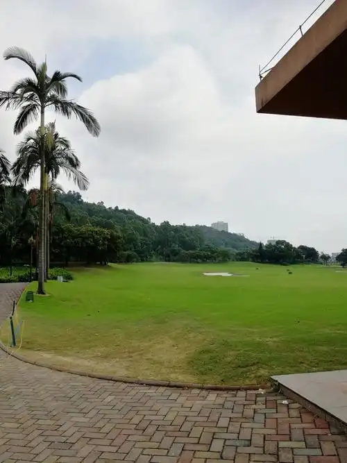 2022南沙高尔夫球会玩乐攻略,推杆感觉很好,颜色略为淡些.