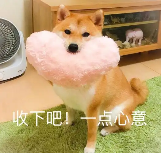 沙雕表情包 _ 图片网