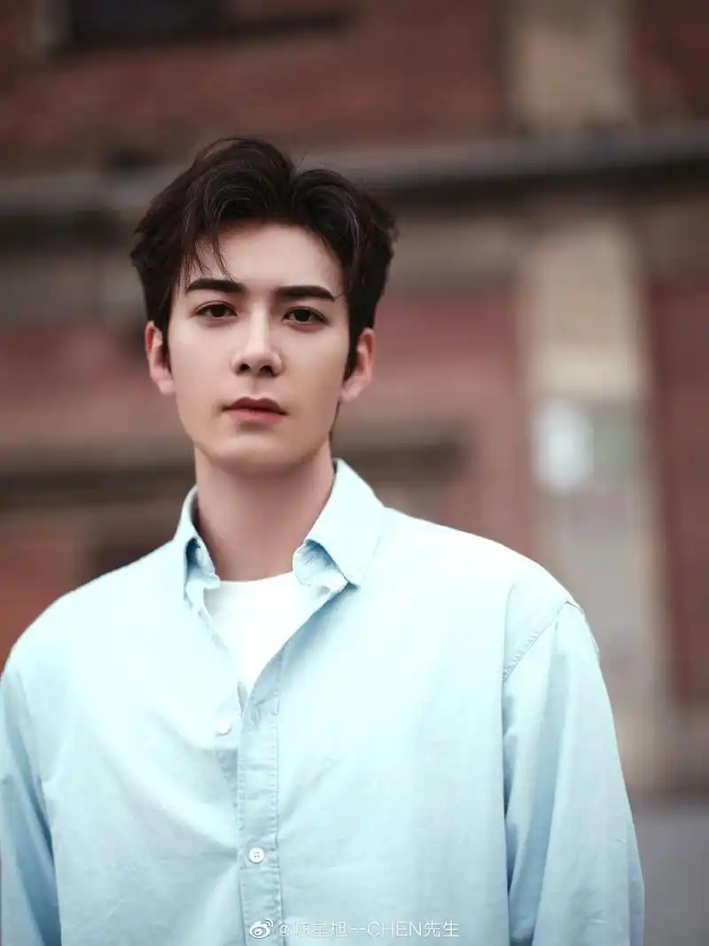 虞书欣,陈星旭或将合作《白日提灯》,你满意吗?