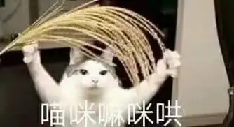 喵咪嘛咪哄(猫咪)_猫咪表情