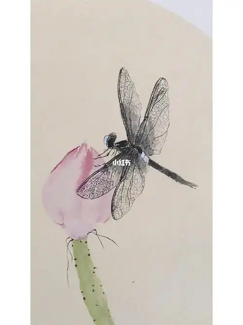 工笔花鸟国画工笔蜻蜓