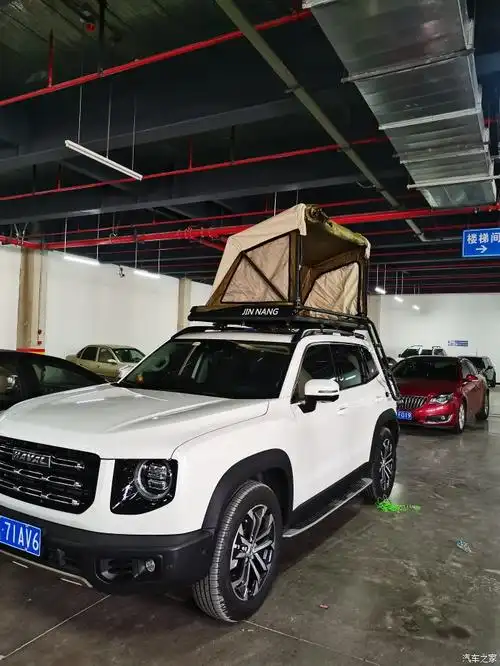 【图】粗壮的行李架,改装没毛病_哈弗大狗论坛_汽车之家论坛