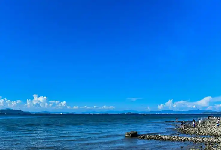 碧海蓝天共一色落霞孤樵同路归