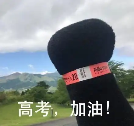 阿蘸20高考加油qq表情包聊天图片表情