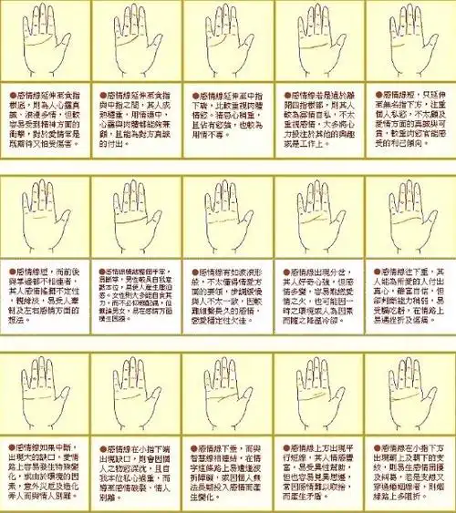 手相感情线_感情线图解_感情线分叉 - 风水知识