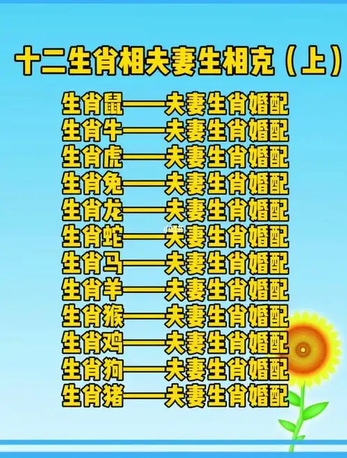 生肖鼠的介绍十二生肖的每一个动物都代表着一种特征.