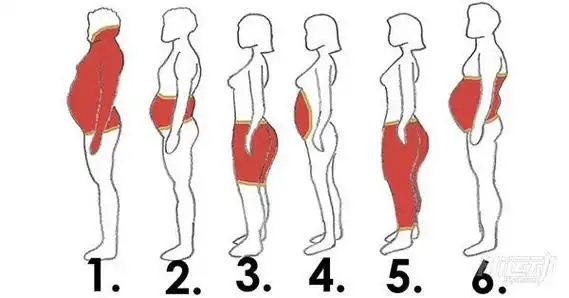 6种肥胖体型的6种针对办法看看你属于哪一种