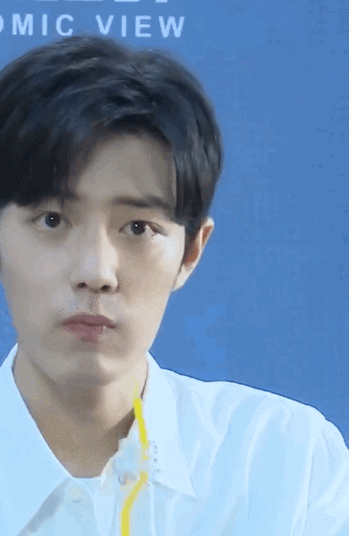 肖战动图 - 堆糖,美图壁纸兴趣社区