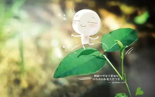 唯美幸福小豌豆