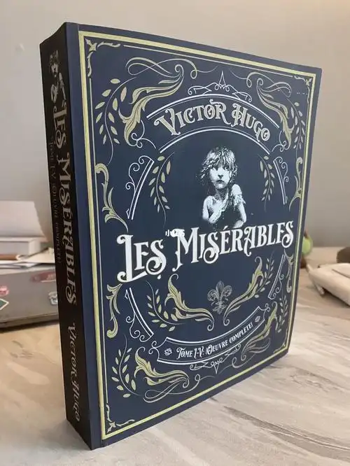 悲惨世界法语原版大砖块