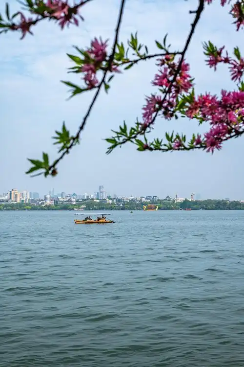 浙江杭州西湖风景区春花开春天