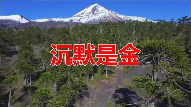 经典老歌:《沉默是金》送给亲爱的你,好听更好看