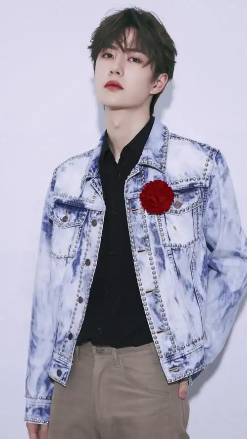 抖音作品王一博红芍药