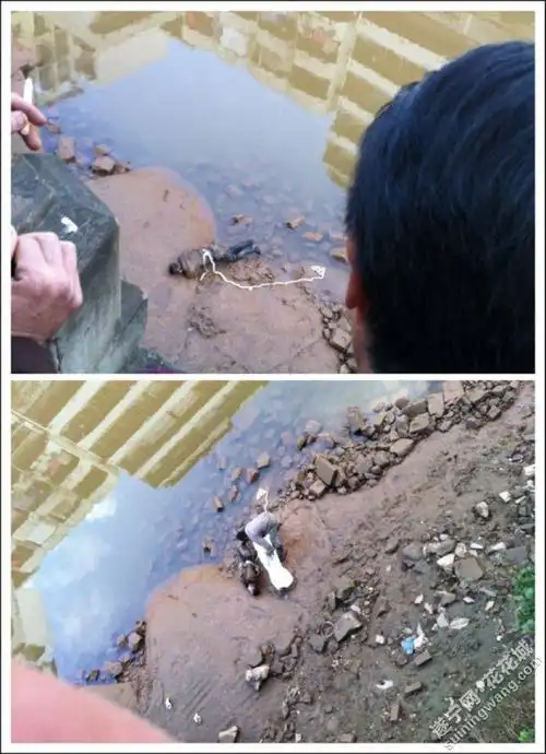 蓬溪芝溪河因打架淹死一个人,滚得一身都是泥.这样死都死不瞑目 - 遂