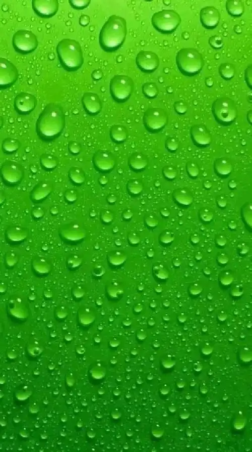 高清微信护眼图,当聊天背景图吧 !