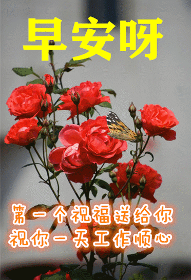 2021年11月6日上午好动态表情图片大全,上午好动图美图大全