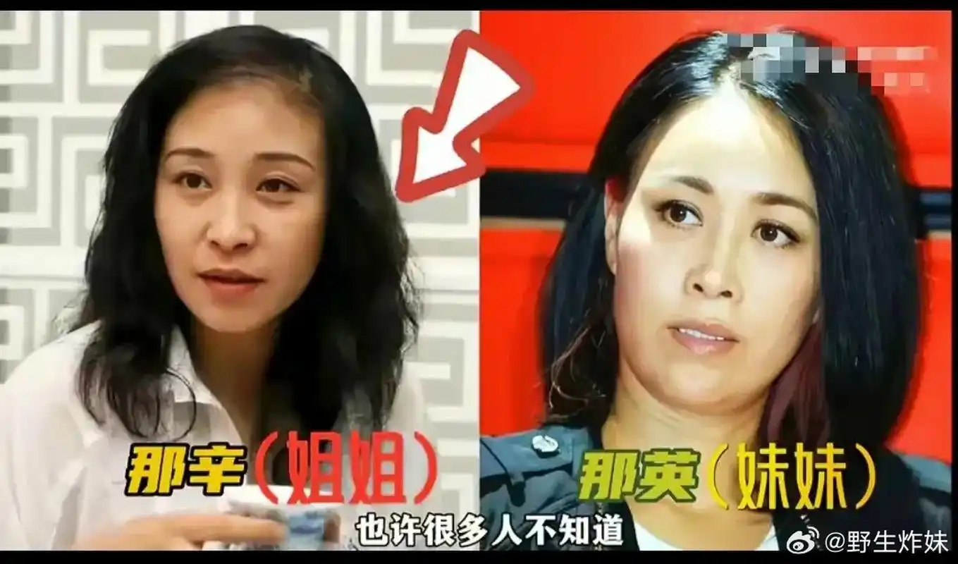 好声音创始人那辛是那英的姐姐和经纪人,怪不得那么牛呢