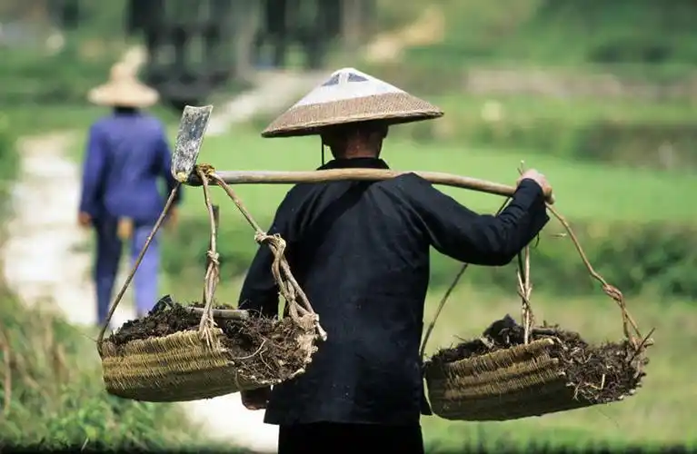东方人,两个人,农田,站,交叉,横图,室外,白天,庄稼,农作物,建材,草地