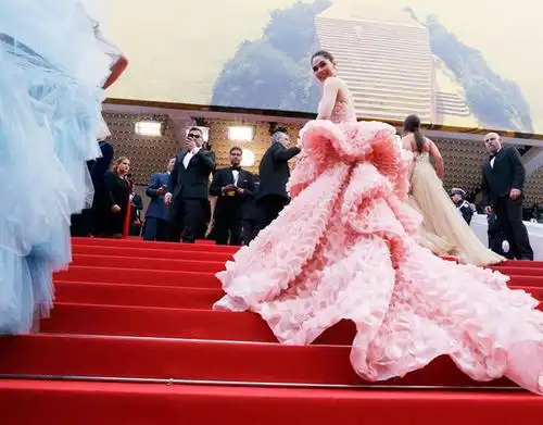 直击:第69届戛纳国际电影节开幕式红毯