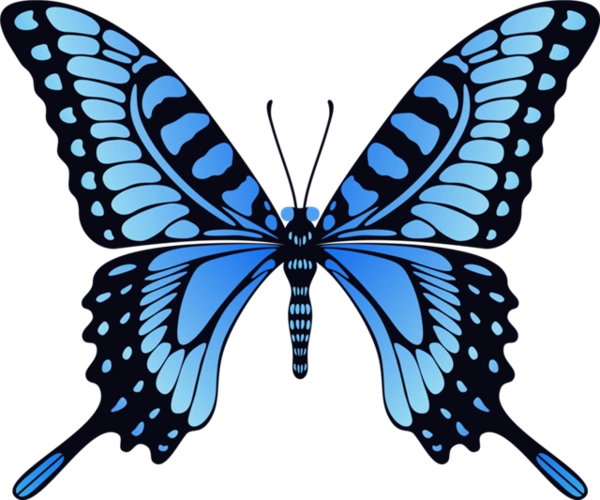 飞舞的蝴蝶装饰图案-飞舞的蝴蝶图片-飞舞的蝴蝶素材下载