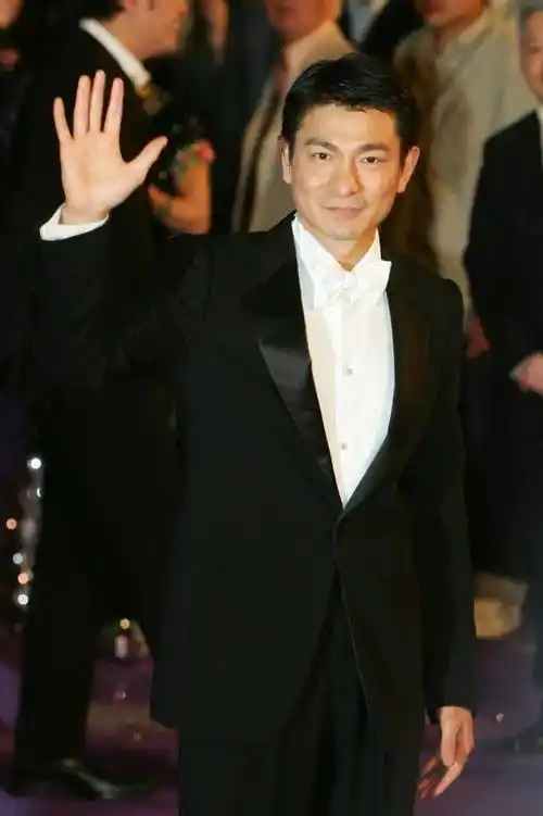 刘德华表示,每一句歌词都让他感觉不解,甚至需要查资料才能理解其中的