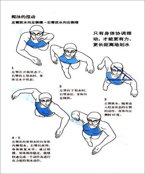 4,臂腿呼吸配合在自由泳时,一般是在两臂各划水一次的过程中进行一次