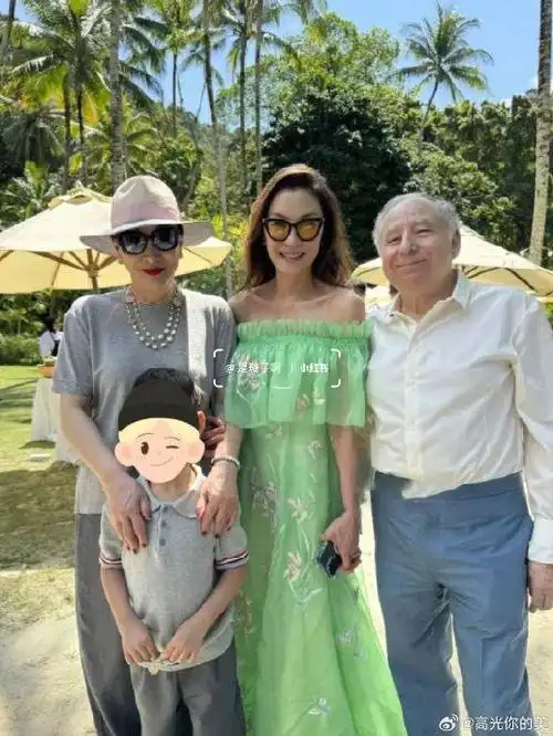 汤臣老板娘徐枫带孙子出席了杨紫琼婚礼|杨紫琼|徐枫|汤子嘉_新浪新闻