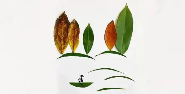 秋天简单树叶贴画_贴画图片_画画图片大全