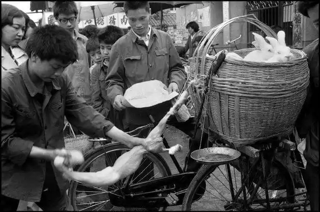 老照片80年代的成都那时候天总是很蓝日子过得很慢