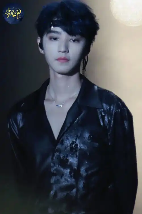 tfboys-王俊凯回望#王俊凯十周年演唱会单人机位##陪王俊凯奔赴每一个