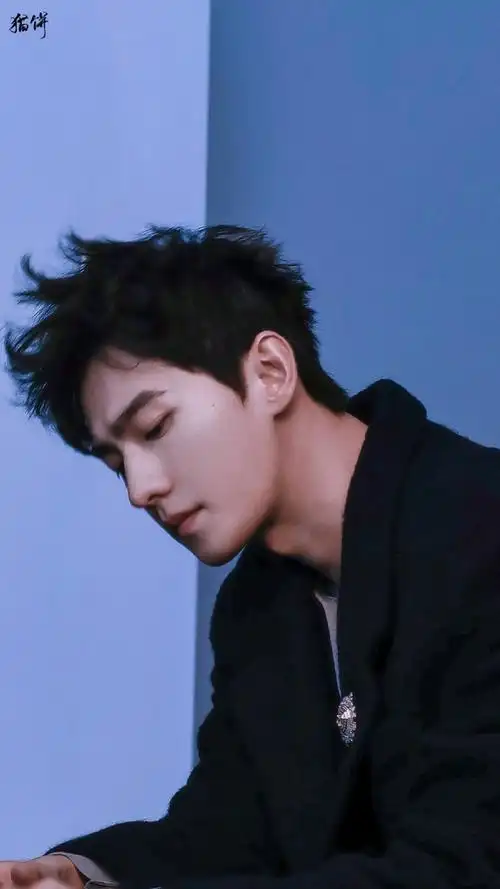 杨洋羊毛卷发型