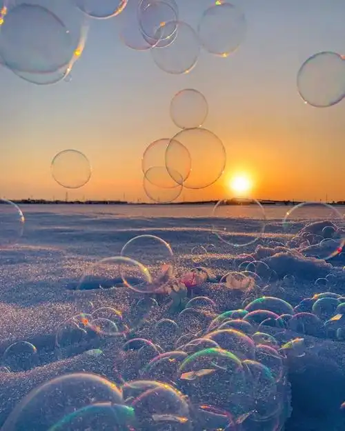 95阳光下的泡沫721506079308#治愈系