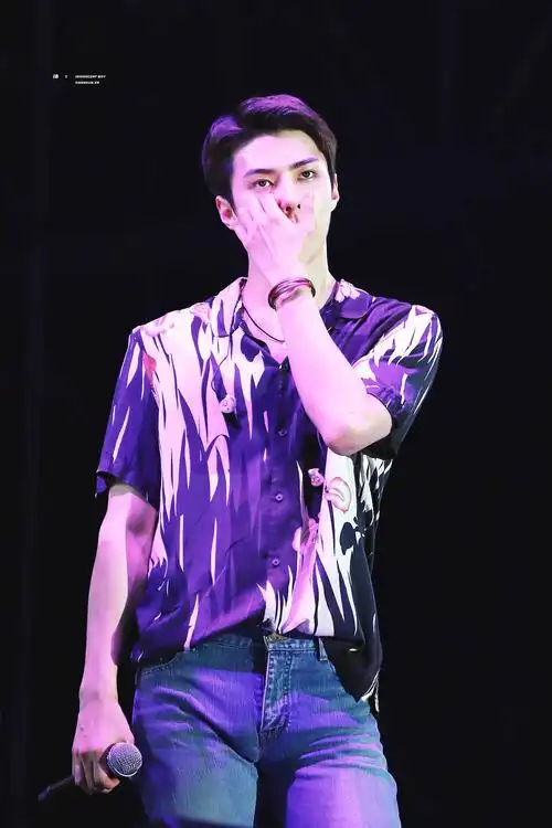 吴世勋乐天演唱会