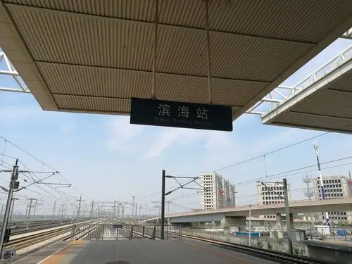 天津市滨海新区华山道靠近滨海站治安派出所_kongwei19743--(孔卫)分