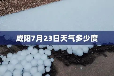 天气报告 - 天气