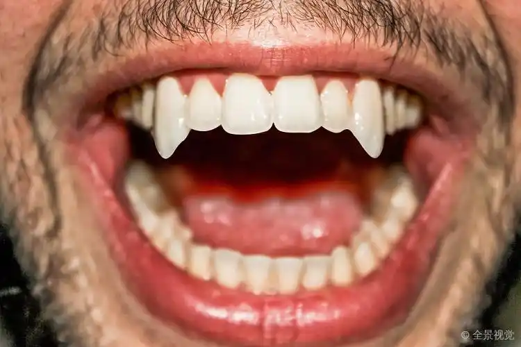 尖锐_吸血鬼_牙齿_特写_尖牙_图片大全—全景创意图库(quanjing.