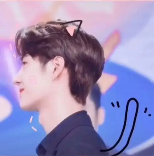 肖战王一博情侣头像