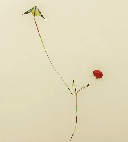 风筝意象摄于运城市盐湖