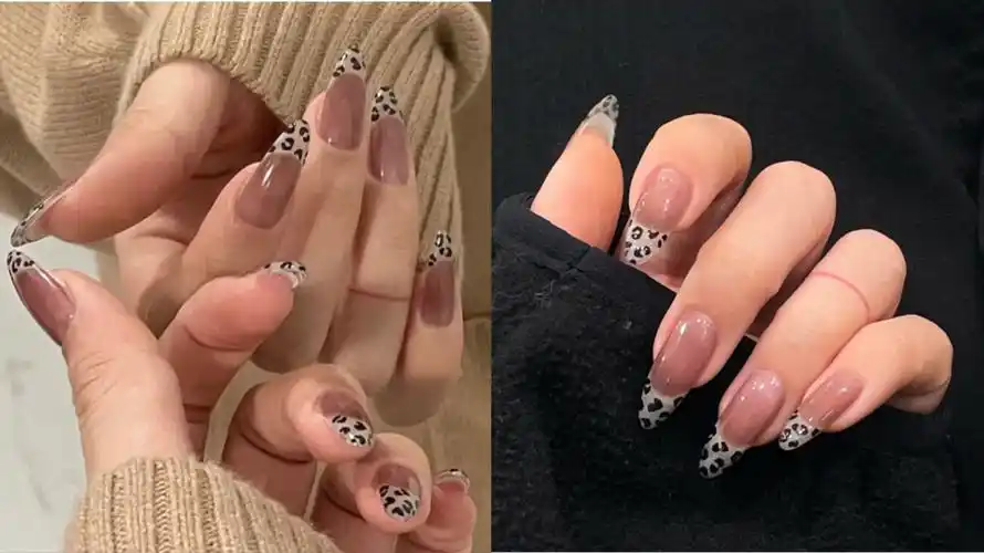 豹纹美甲图片 美甲图片2021豹纹-诚智百科网