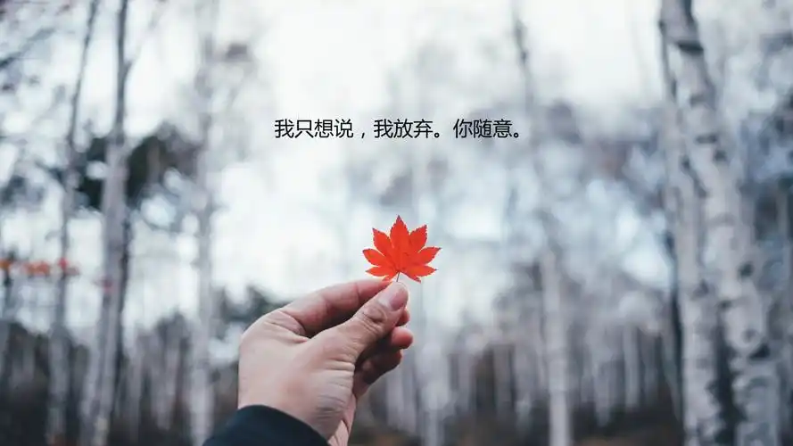 想要放弃爱情的话语图片