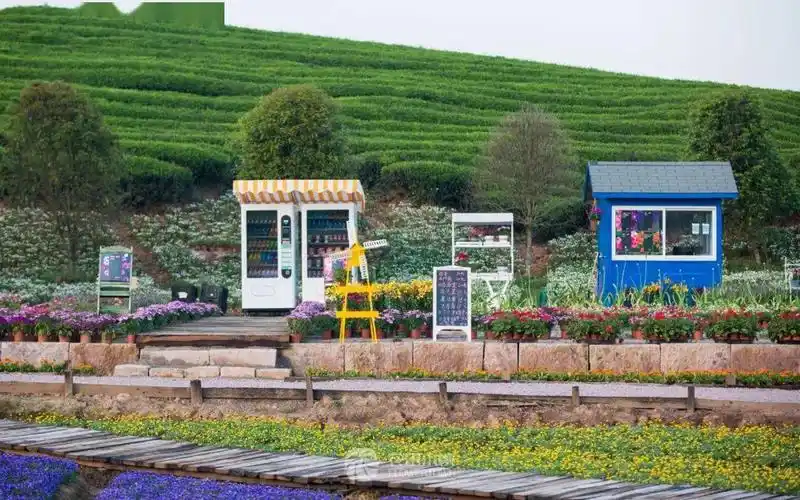 那一定是金华武义的花田小镇.