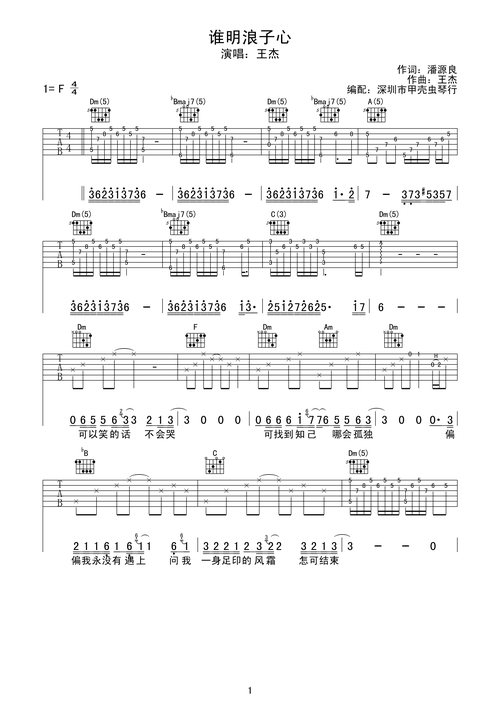 谁明浪子心-吉他谱-c大调音乐网