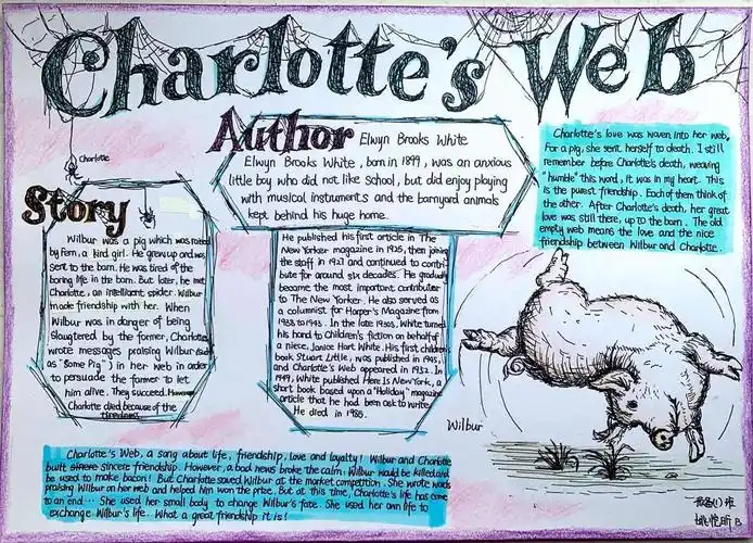 readersweb 预备6班&1班寒假英语charlottes web阅读小报展示