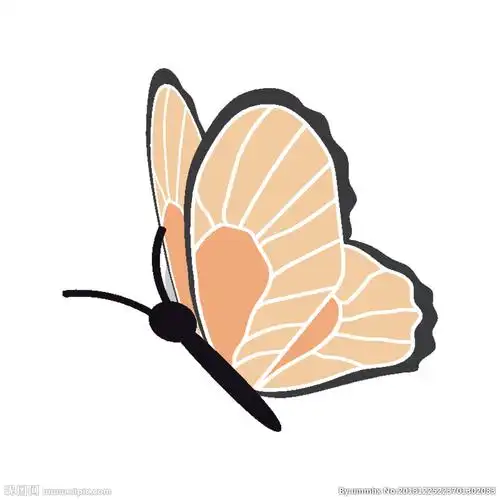 蝴蝶矢量图图片