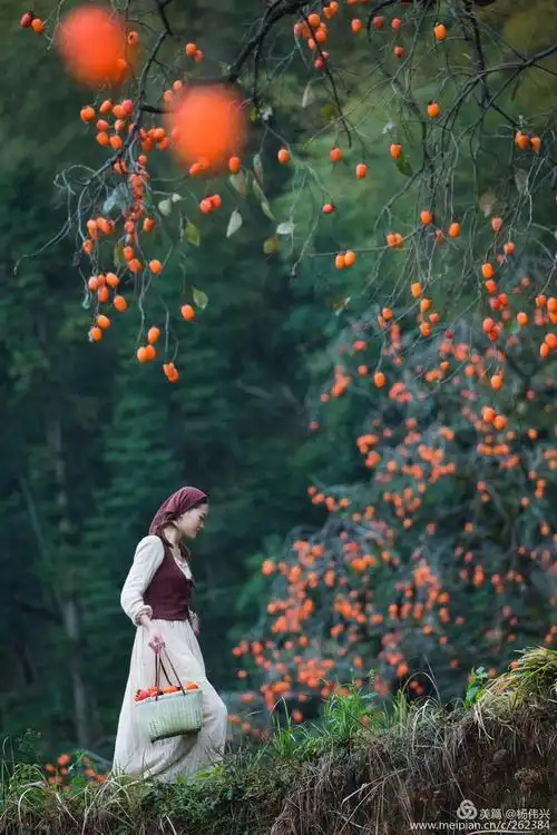 我的2017光影之路--环境人像篇