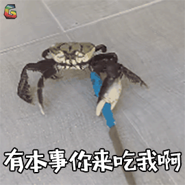 搞怪螃蟹蟹蟹谢谢soogifsoogif出品gif动图_动态图_表情包下载_soogif